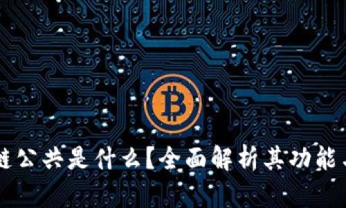 区块链公共是什么？全面解析其功能与应用